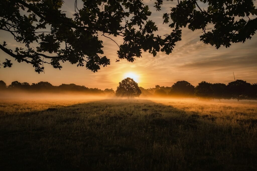 Countryside illustration — illustrative stock image, not an actual listed property